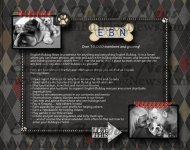 30-About EBN 1.jpg 30-About EBN 1.jpg