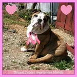 Maudepink.webp