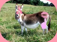 kissthis.webp