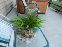001.webp