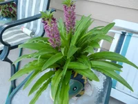 002.webp
