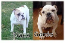 Flaca.webp Flaca.webp