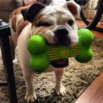 IMG-20130914-WA002.webp