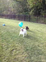 9.20.14 B-day 002.webp 9.20.14 B-day 002.webp