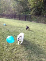 9.20.14 B-day 003.webp 9.20.14 B-day 003.webp