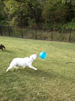 9.20.14 B-day 006.webp 9.20.14 B-day 006.webp