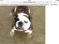 ImageUploadedByTapatalk1411482584.757532.webp