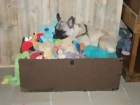 carlietoybox82012 002_painting.webp