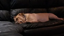 20140424_193030.webp