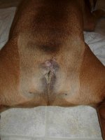 16 days after surgery.jpg 16 days after surgery.jpg