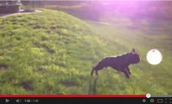 cheli airborne.jpg cheli airborne.jpg