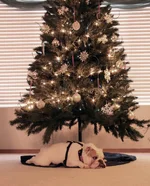 IMG_9271 1.webp IMG_9271 1.webp