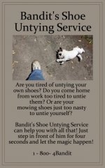 Bandit's shoe untying service.jpg