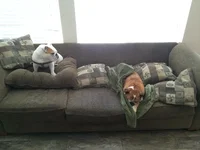 IMG_2864[1].webp
