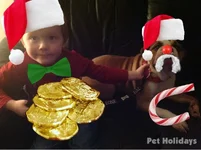 image.webp