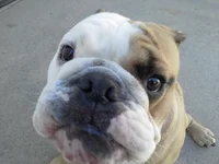 20131014_144225.webp