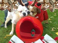 image.webp