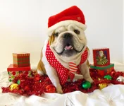DSCF0827.webp