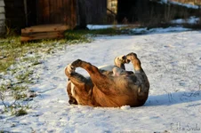remember_to_stretch.webp