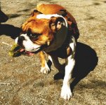 IMG_0293.jpg IMG_0293.jpg