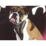 IMG_1789.jpg IMG_1789.jpg