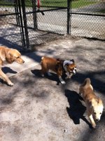 IMG_6083.jpg IMG_6083.jpg