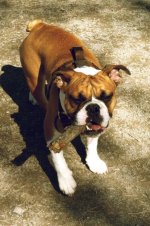 IMG_6617.jpg IMG_6617.jpg