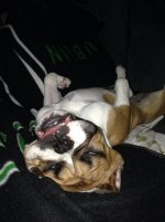 IMG_8485.jpg IMG_8485.jpg