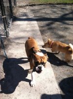 IMG_8829.jpg IMG_8829.jpg