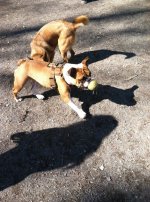 IMG_8991.jpg IMG_8991.jpg