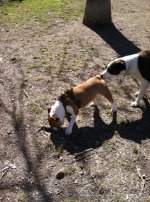 IMG_9290.jpg IMG_9290.jpg