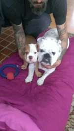WP_20140927_003.webp