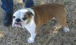 otis1.jpg otis1.jpg