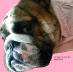 pink shirt.webp