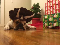 Xmas 2014.webp
