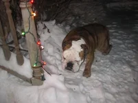 Christmas 2013 114.webp