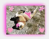 happykick.webp