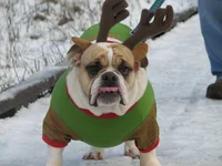 004.webp