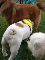 IMG_7535.jpg IMG_7535.jpg