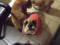 DSCF5188.webp