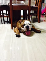 photo 4.webp