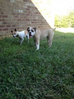 IMG_2082.jpg IMG_2082.jpg