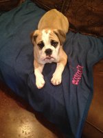 IMG_2078.jpg IMG_2078.jpg