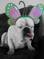 PhotoArt_10142013000855.webp PhotoArt_10142013000855.webp