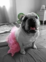 PhotoArt_10302013151922.webp PhotoArt_10302013151922.webp