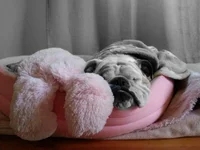 PhotoArt_09302014090232.webp PhotoArt_09302014090232.webp