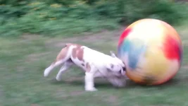 2014-04-29 19.41.10.webp