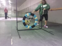 20140930_192100.webp 20140930_192100.webp