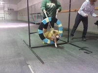 20140930_192319.webp 20140930_192319.webp