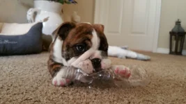 20150315_163432.webp
